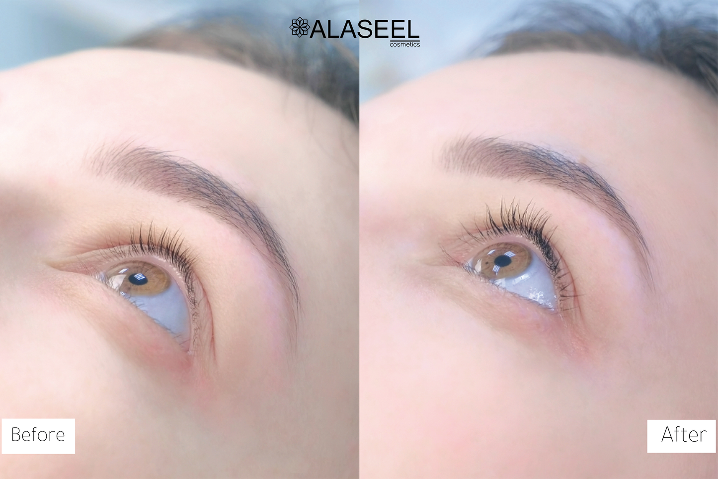 Eyelash Serum - سيروم الرموش والحواجب